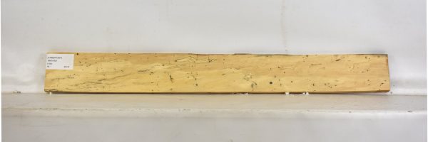 TAMSP1064_2