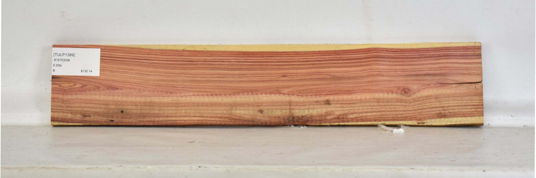 Tulipwood 2 TULP1389_2