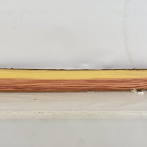 TULP1390_1