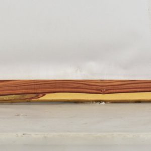 TULP1399_1
