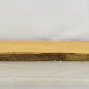 TULP1400_1