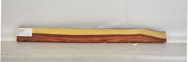 TULP1400_2