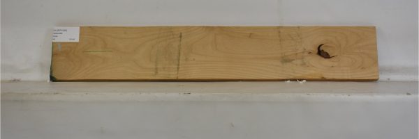 ALDER1055_2