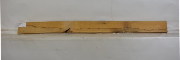 ALDER1057_1