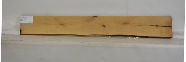 ALDER1062_2