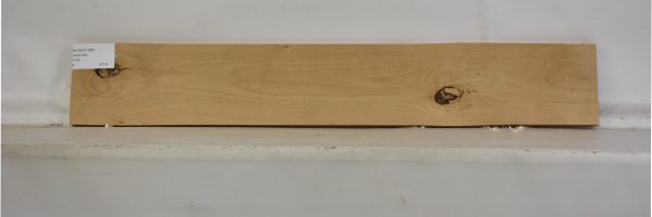 ALDER1066_2