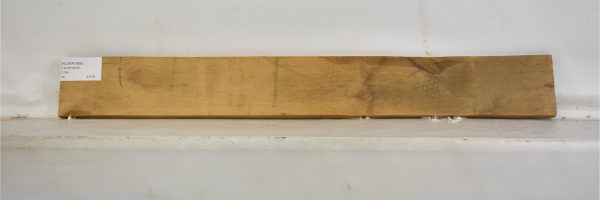 ALDER1069_2