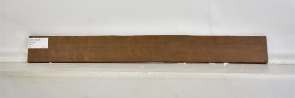 BIRFLR1107_2