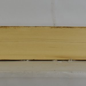 CEDARALAS1148_1
