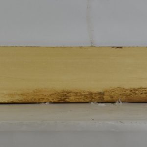 CEDARALAS1149_1