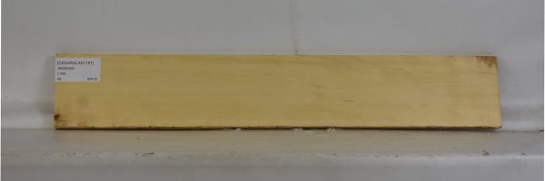CEDARALAS1157_2
