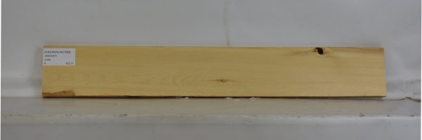 CEDARALAS1163_2