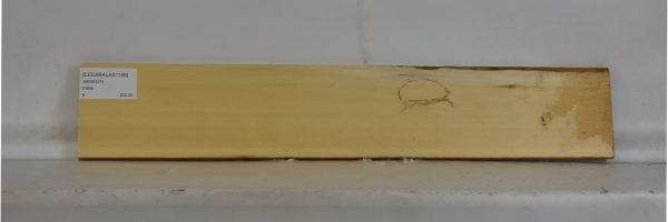 CEDARALAS1166_2