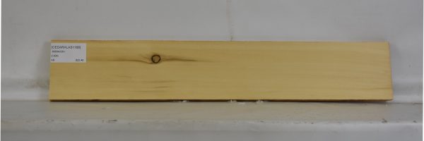 CEDARALAS1168_2