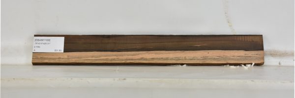 EBAM1100_2
