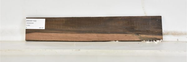 EBAM1102_1
