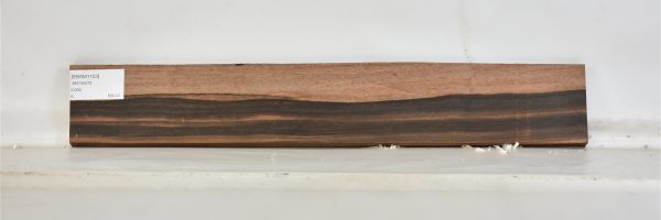 EBAM1103_1
