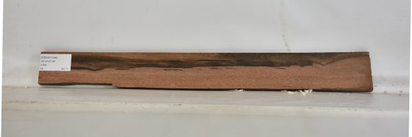 EBAM1104_1