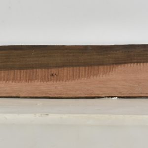 EBAM1107_1