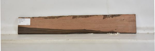 EBAM1107_2