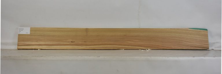 ELM1093_1