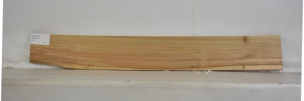 ELM1094_1