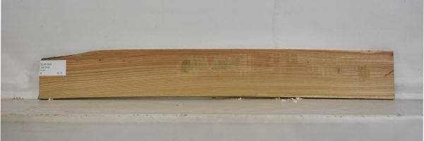 ELM1094_2