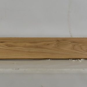 ELM1095_1