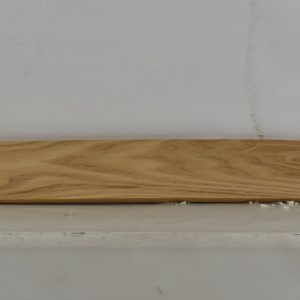 ELM1100_1