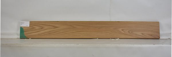 ELM1101_1