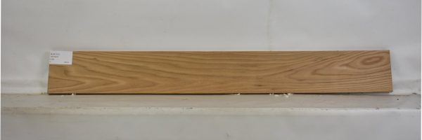 ELM1101_2