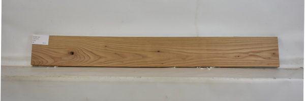ELM1102_2