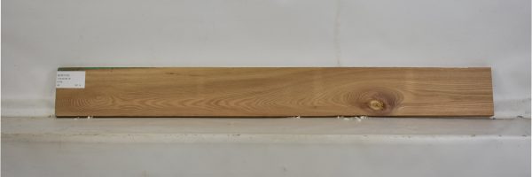 ELM1103_2