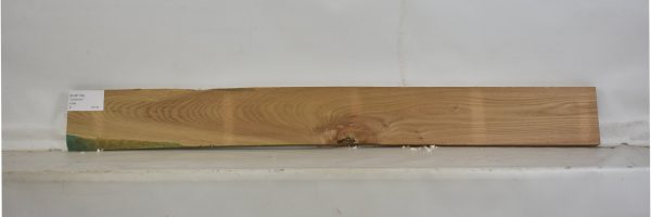ELM1104_2
