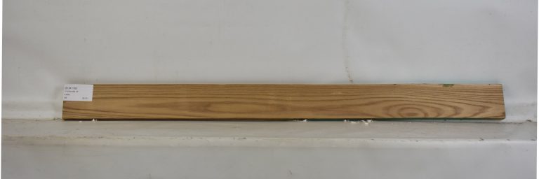 ELM1106_1