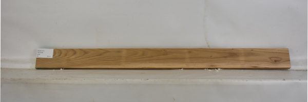 ELM1107_2