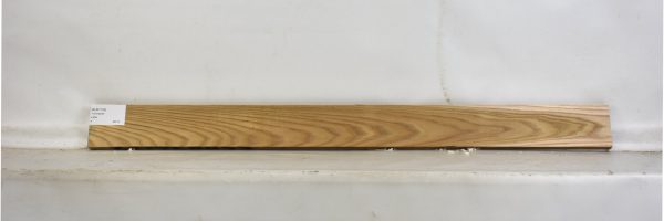 ELM1109_2