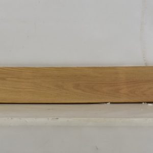ELM1111_1