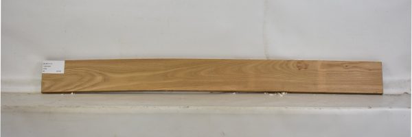 ELM1111_2