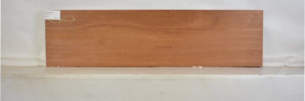 GONC1080_2