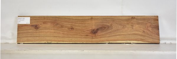 KIAAT1135_1
