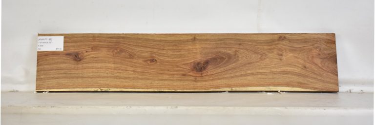 KIAAT1135_1