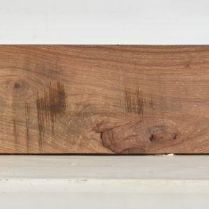 KIAAT1137_1