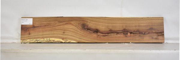 KIAAT1138_2