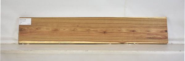 KIAAT1139_1