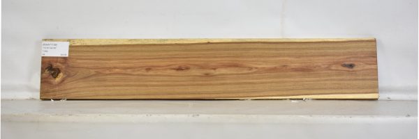 KIAAT1139_2