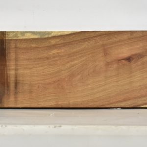 KIAAT1140_1