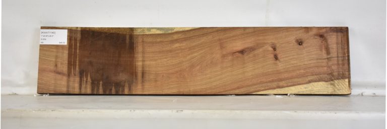 KIAAT1140_1