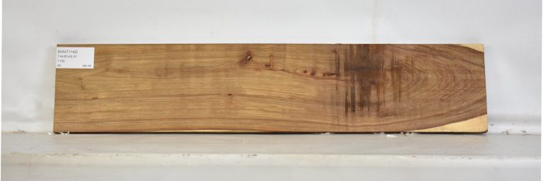 KIAAT1142_1