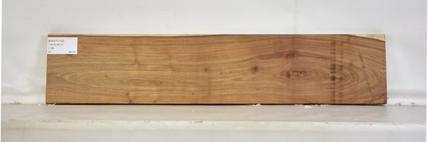 KIAAT1142_2